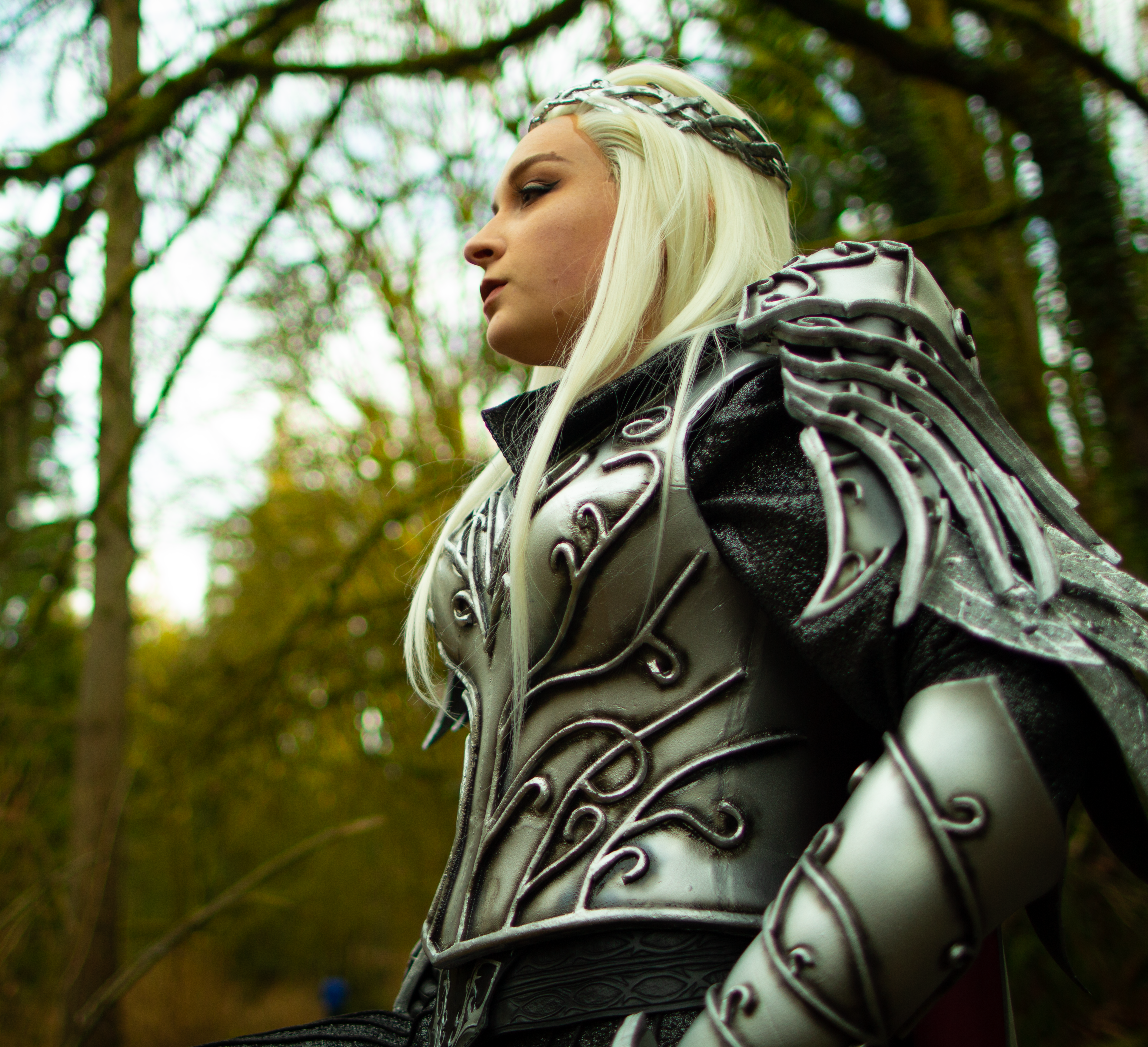 Thranduil back render
