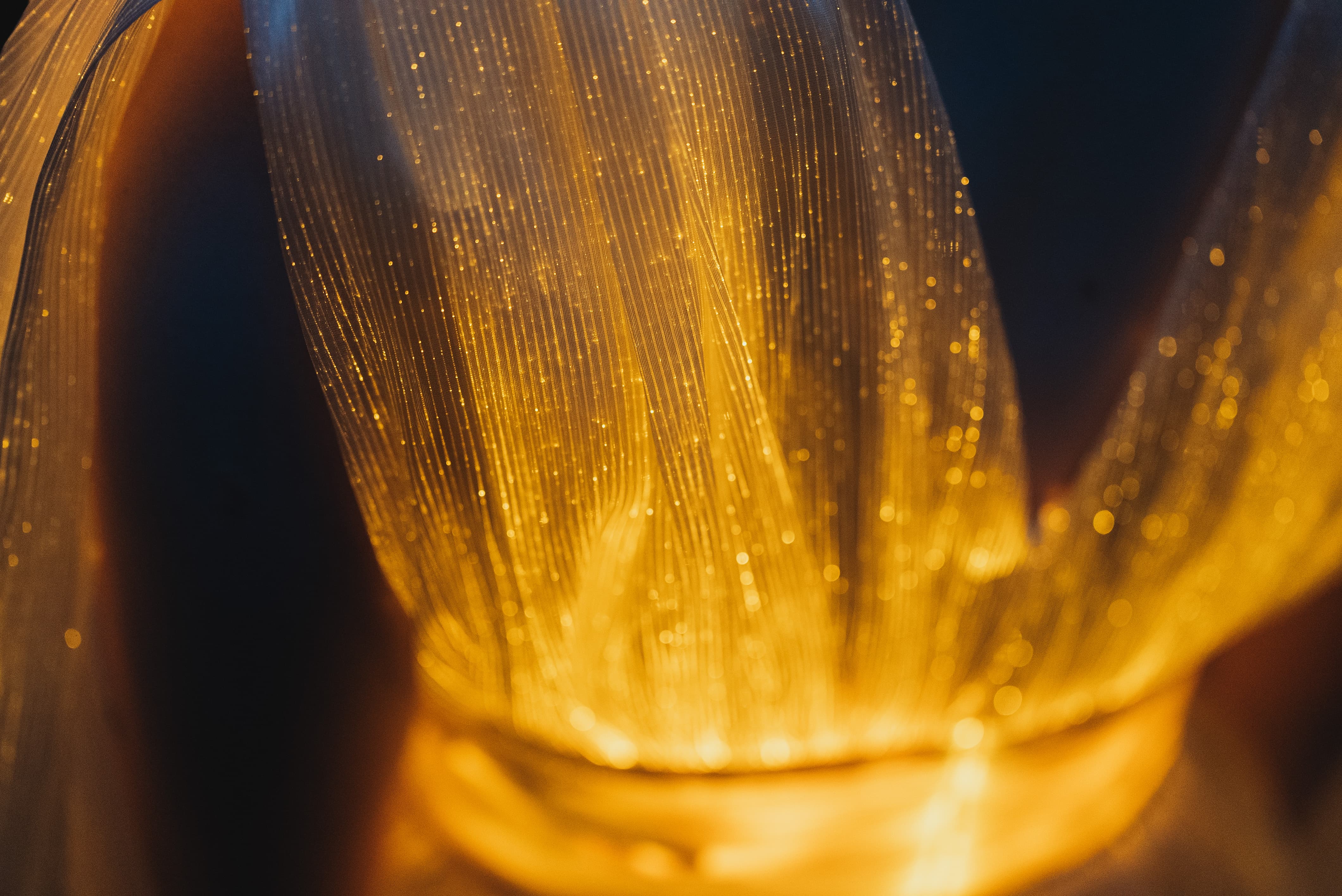 Fiber Optic Dress lit